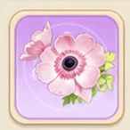 연지 아네모네