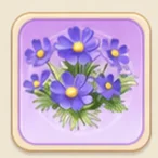 우아한 보라 코스모스