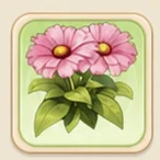 거베라