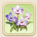 서리꽃 석곡