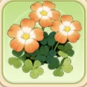 주황색 괭이밥