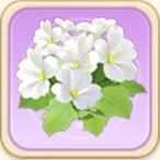 눈 내린 앵초