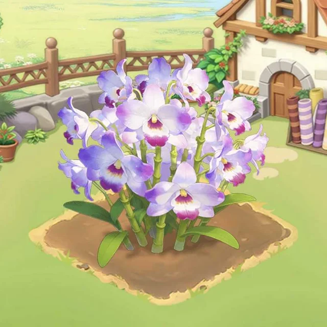 서리꽃 석곡