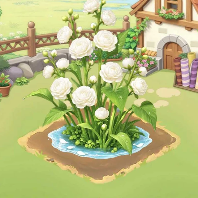 서리솜꽃송이