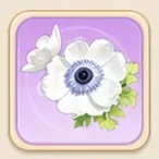 묵옥 아네모네