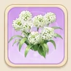 베들레헴의 별