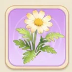 연노랑 마거리트