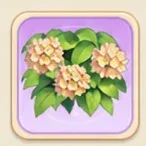 오렌지꿀 버베나