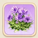 자색 수레국화