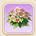 연홍색 접시꽃