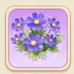 우아한 보라 코스모스