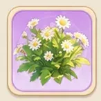초승달의 고요한 잠
