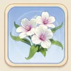 보라심장 물상추