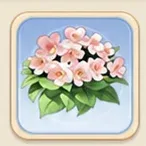 복숭아빛 재클린