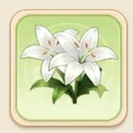 흰 백합
