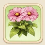 거베라