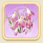 벚꽃 핑크 설강화