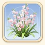 핑크화이트 산란