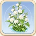 서리솜꽃송이